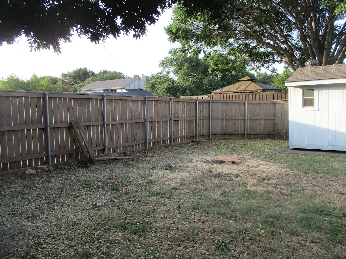 Cleared yard after professional tree removal in Clifton Forge
